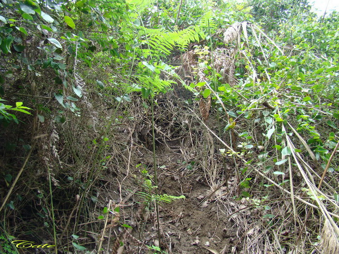 Parco nazionale del Circeo